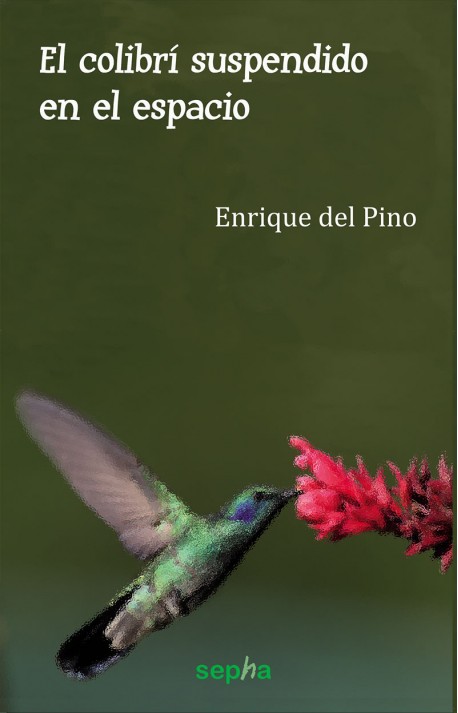 El colibrí suspendido en el espacio