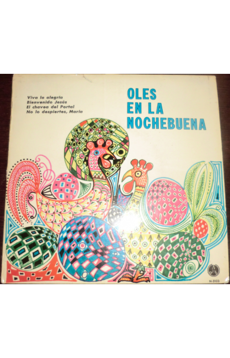  CORO JAVIER-  OLE EN LA NOCHEBUEN