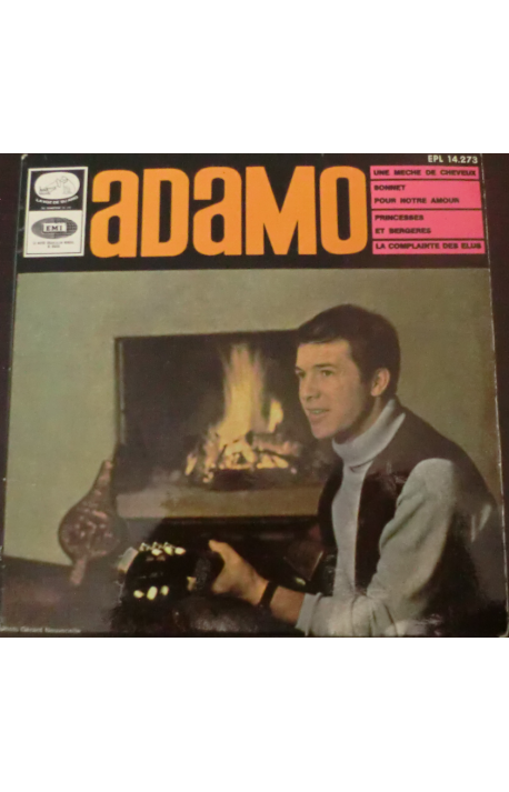 Une Mèche de Cheveux